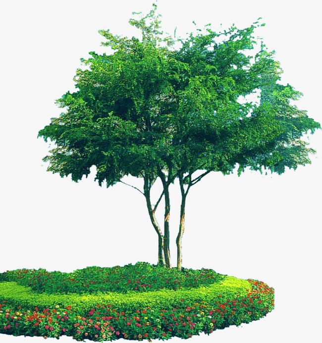 绿色植物装饰图png素材-90设计