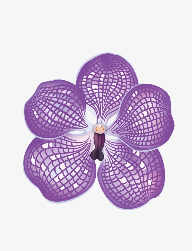 紫色花朵矢量图