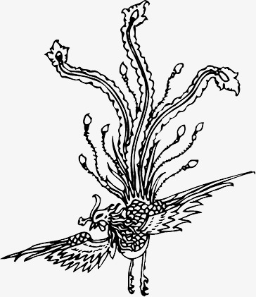 凤凰红色线条底纹古典暗纹免抠装饰元素