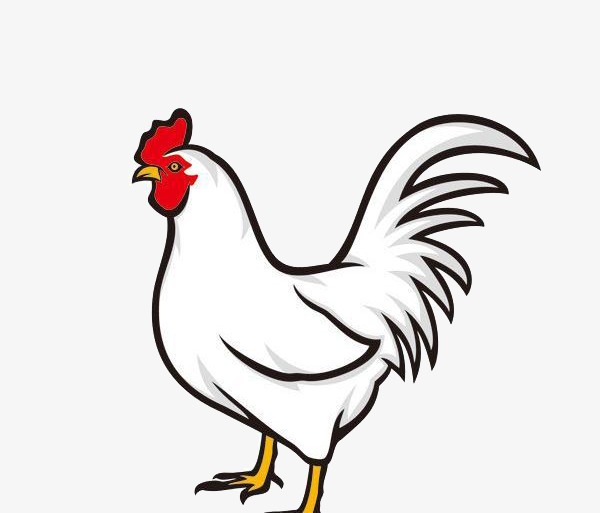 创意中国风剪纸喜庆鸡生肖元素设计