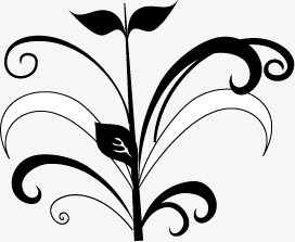 欧式花纹装饰图案