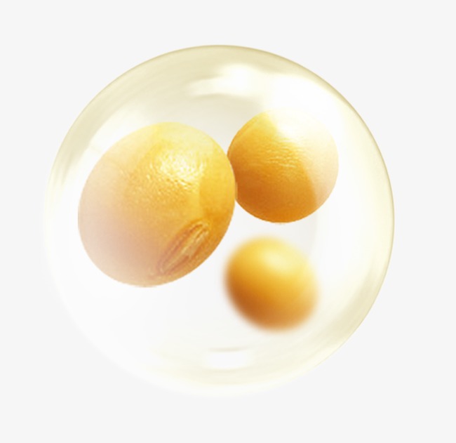 黄色大豆素材图片免费下载_高清效果元素png_cnc娱乐_cnc娱乐平台_cnc