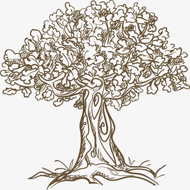 手绘植物树