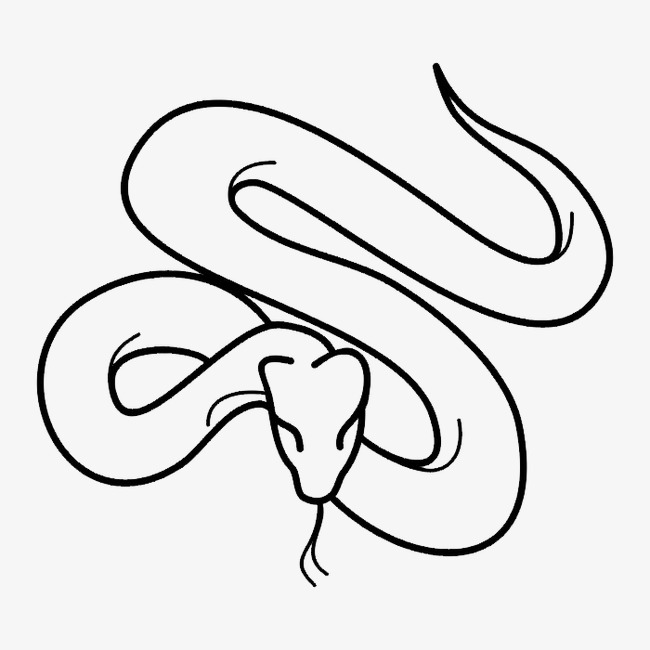 黑白轮廓动物图案