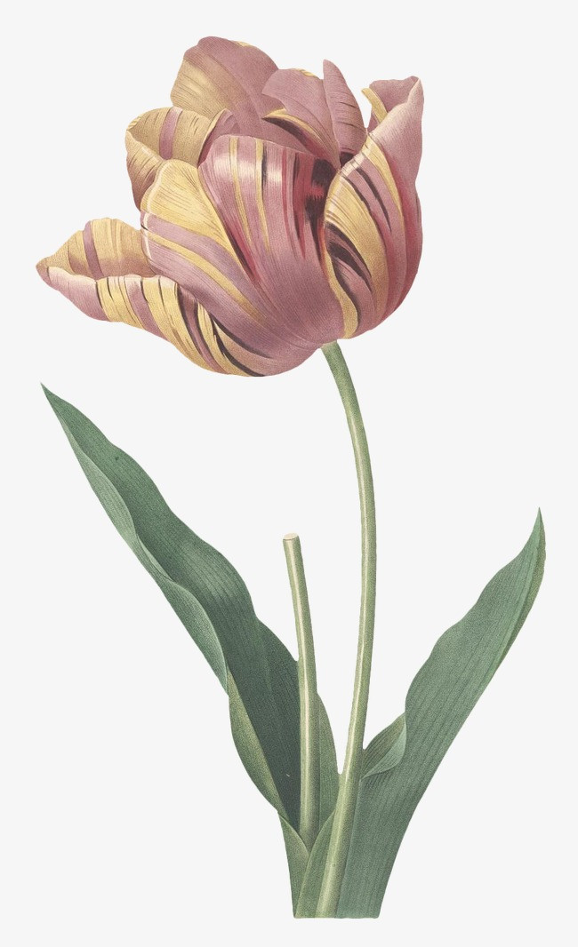 元旦新年春节过年除夕中国风古典复古装饰背景花朵灯笼祥云