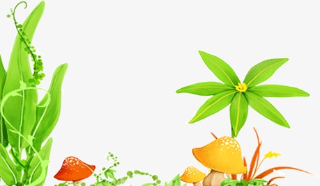 绿草蘑菇