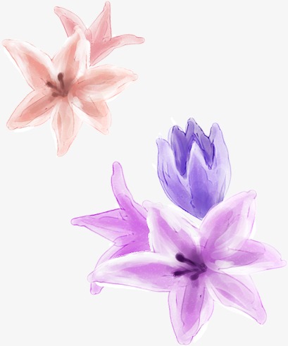 卡通装饰国潮花朵鲜花插画芙蓉花元素