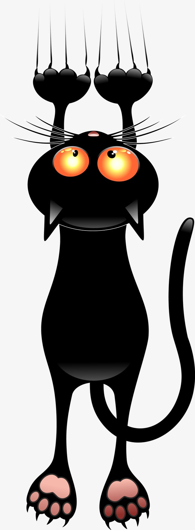女巫猫