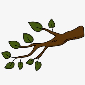 树枝