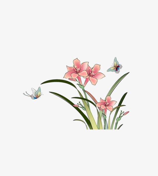 手绘兰花
