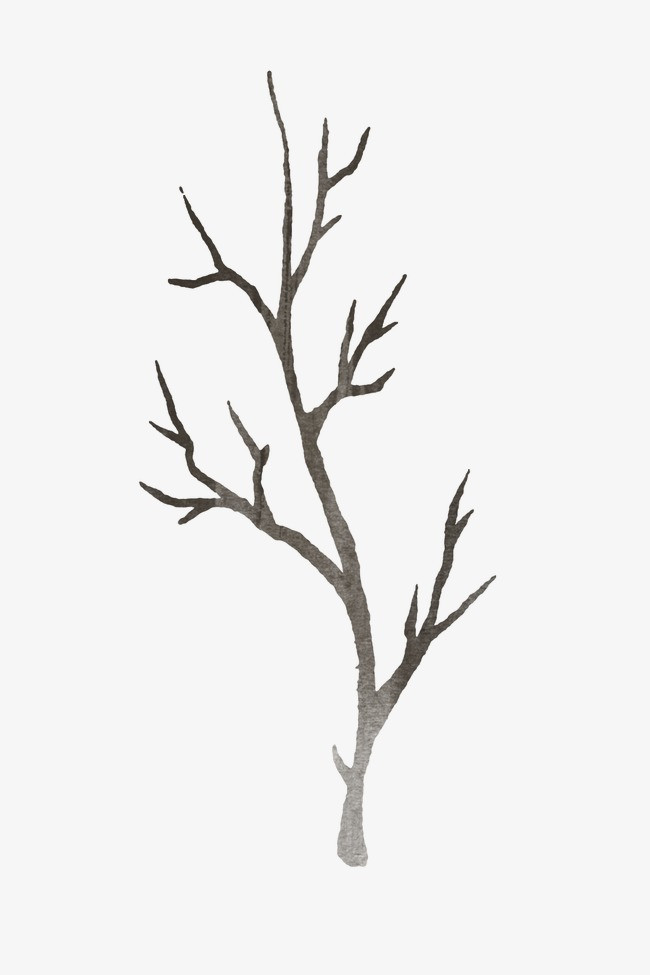 手绘树枝