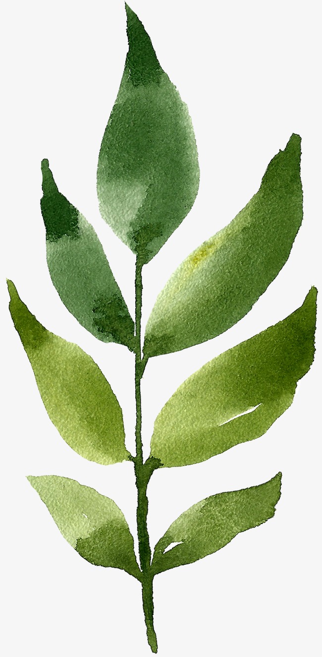 手绘卡通_手绘叶子png素材-90设计