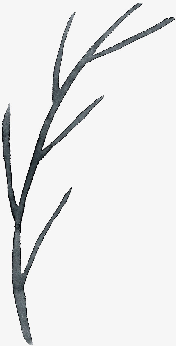 手绘树枝