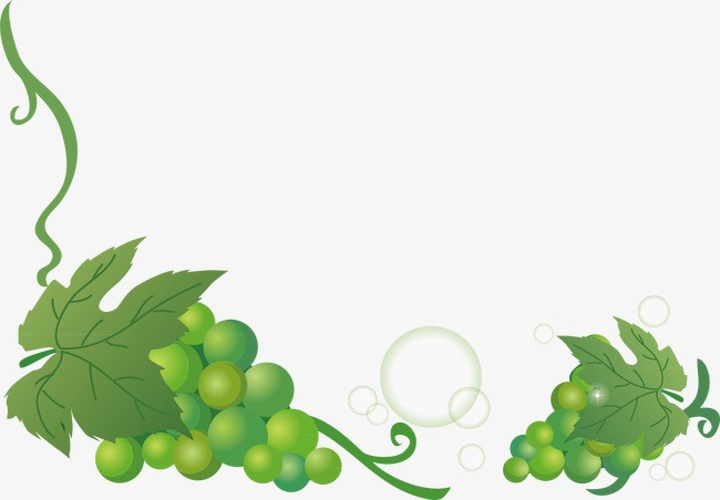 绿色葡萄
