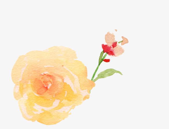 水彩手绘花朵