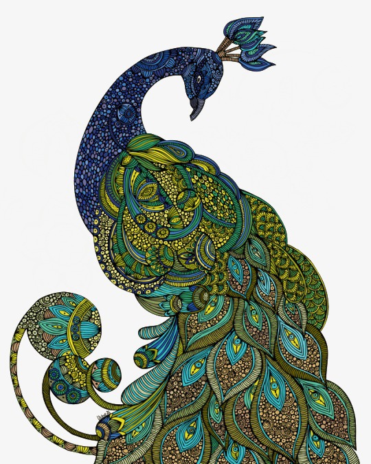 手绘蓝色中国风孔雀