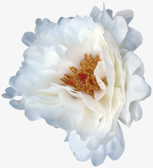 花卉边框_花卉png素材-90设计