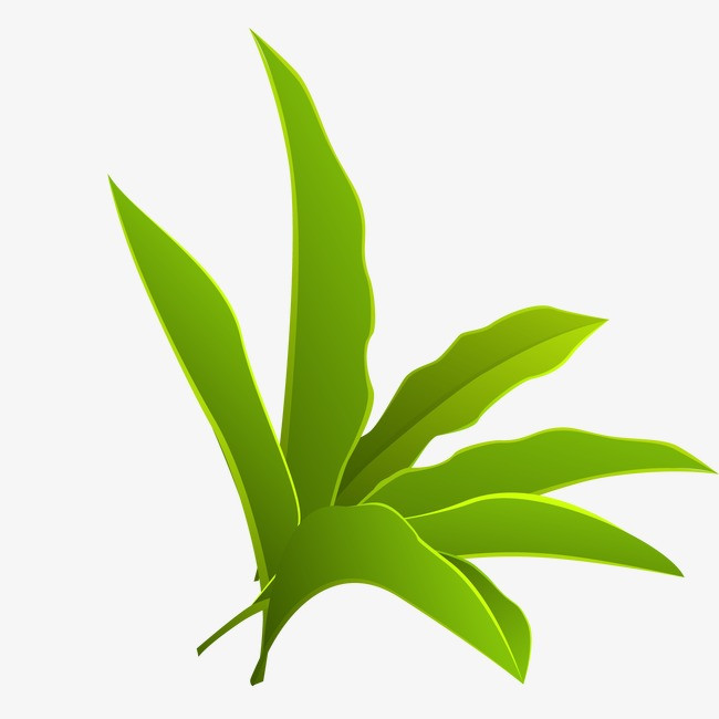 手绘矢量绿色植物树叶png素材-90设计