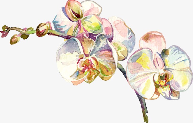 抽象彩色花朵图案