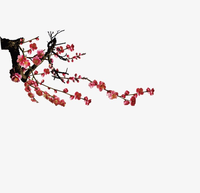 手绘卡通鲜艳中国风梅花装饰元素【免抠元素png】-90设计网