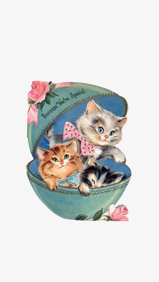 卡通动物手绘橘猫插画小素材