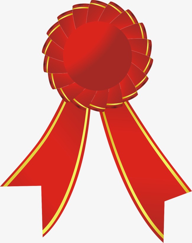 vip金属等级胸章