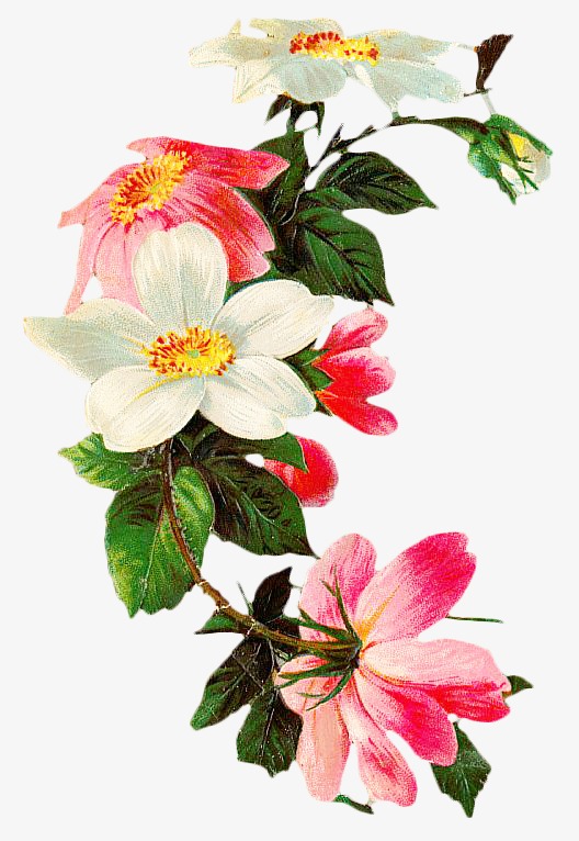 复古手绘花卉素材