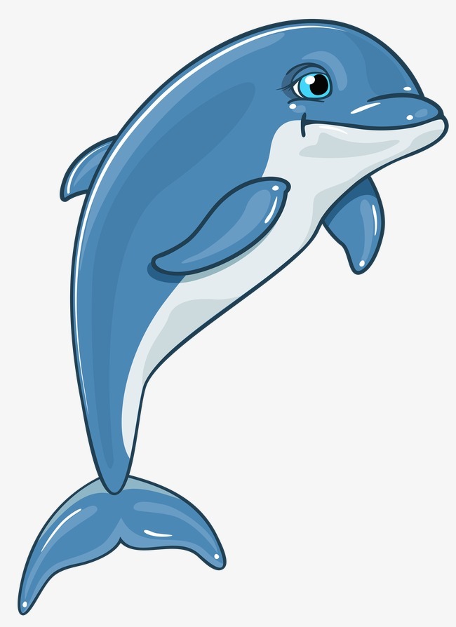 海豚