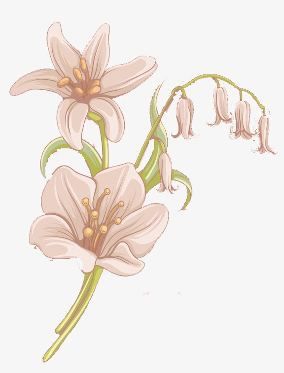 卡通背景_手绘卡通花朵png素材-90设计