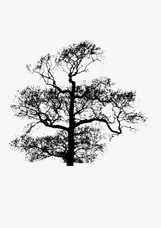 纯原创手绘树插画大树小树春天绿色