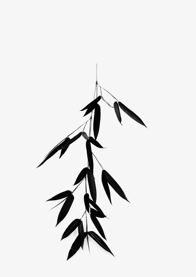 竹子 竹叶 水墨画 中国画