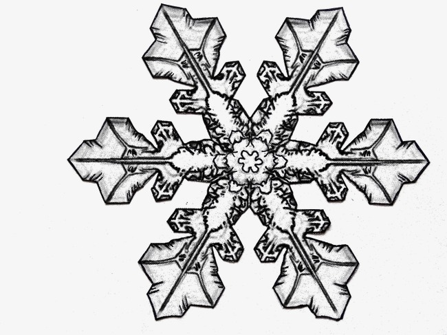 黑色雪花