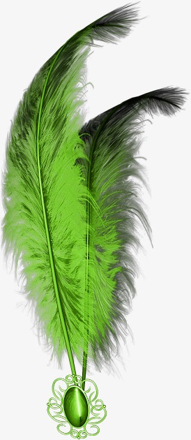绿色羽毛