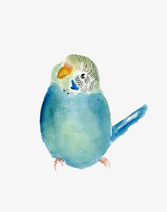 插画小鸟_小鸟png素材-90设计