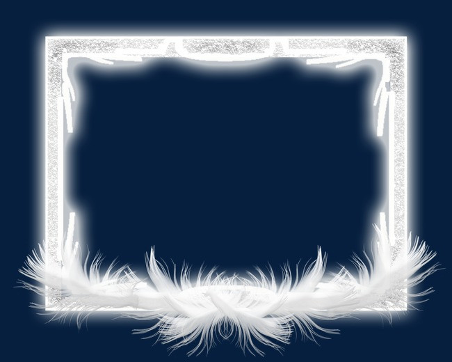 纯白羽毛相框