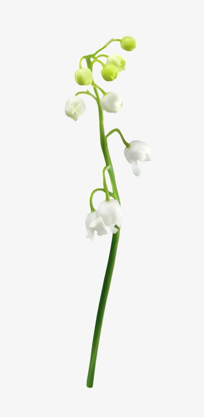 清新国潮风中国风插画荷花花苞免抠元素