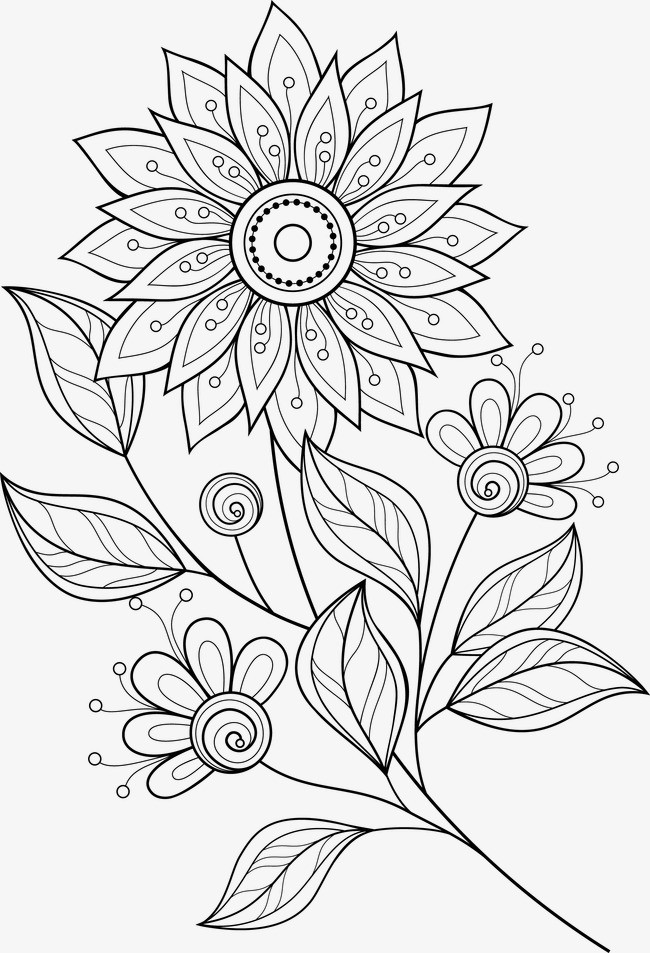 花卉图片手绘简笔画(花卉图片手绘简笔画带名字) - 123植物网