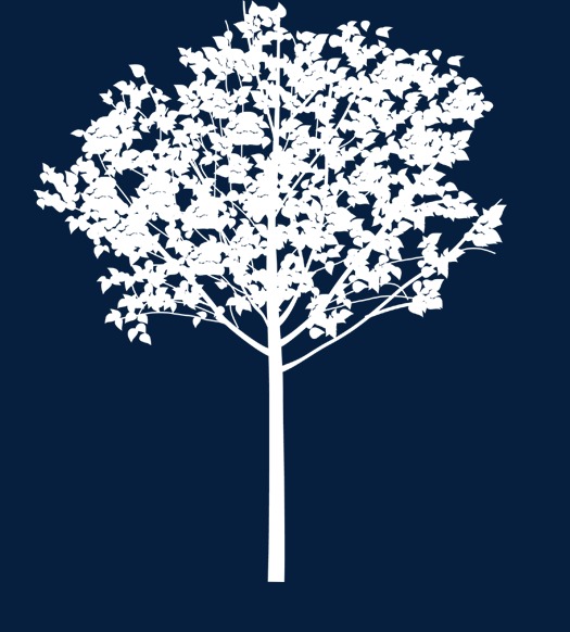 白色小树png素材-90设计