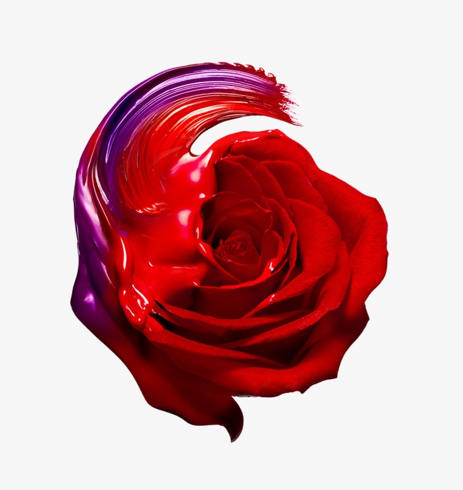 创意的玫瑰花png素材-90设计