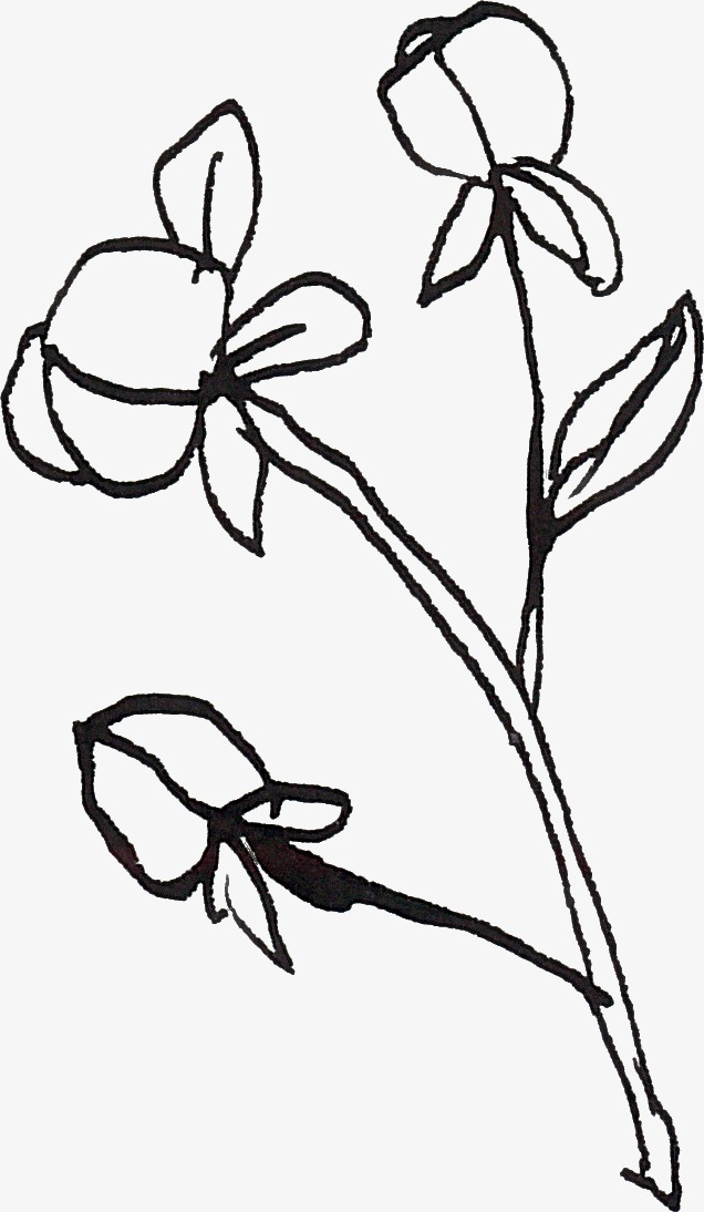 线描花朵png素材-90设计