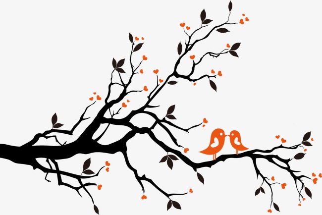 树枝上小鸟