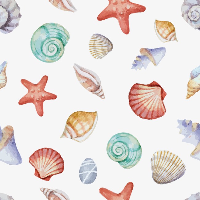 春夏水彩新鲜生蚝贝壳海鲜美食