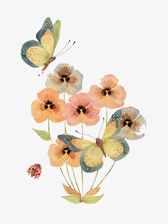 蝴蝶花图片(蝴蝶花图片大全大图)