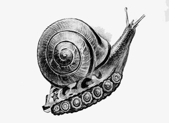 蜗牛仿生设计手绘图片