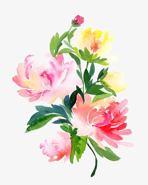 水彩插画_水彩花朵png素材-90设计