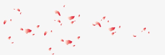 飞舞的花瓣