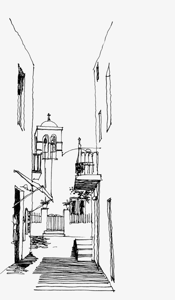 速写飞鸟矢量插画