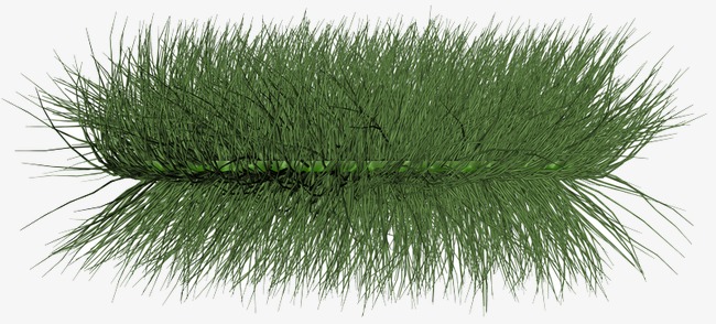 水生植物_水生植物png素材-90设计