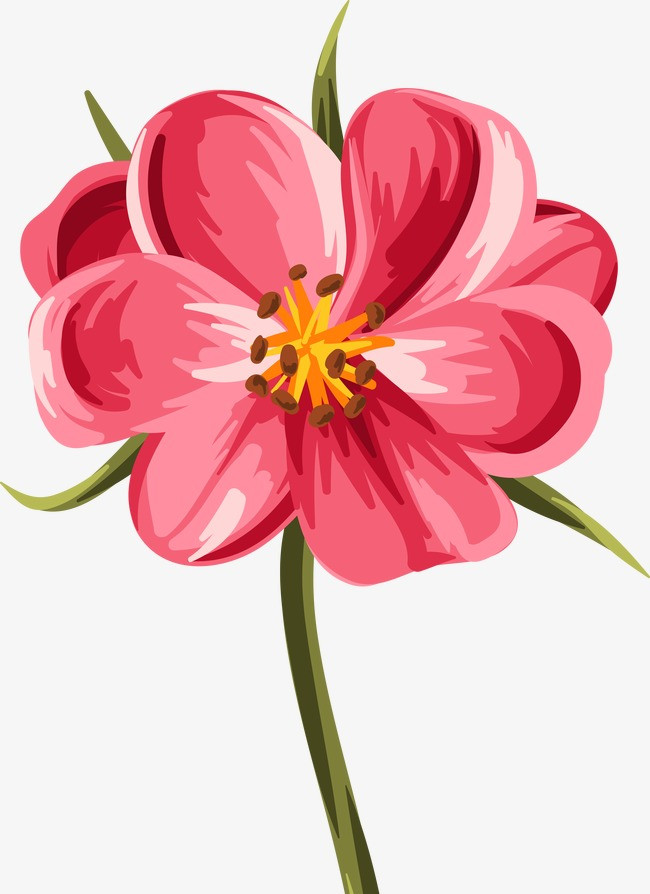 彩绘盛开花朵矢量素材