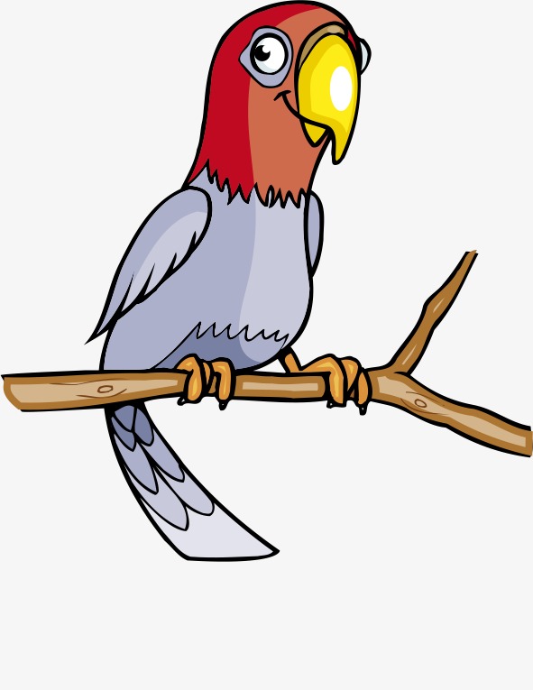 卡通鹦鹉灰色